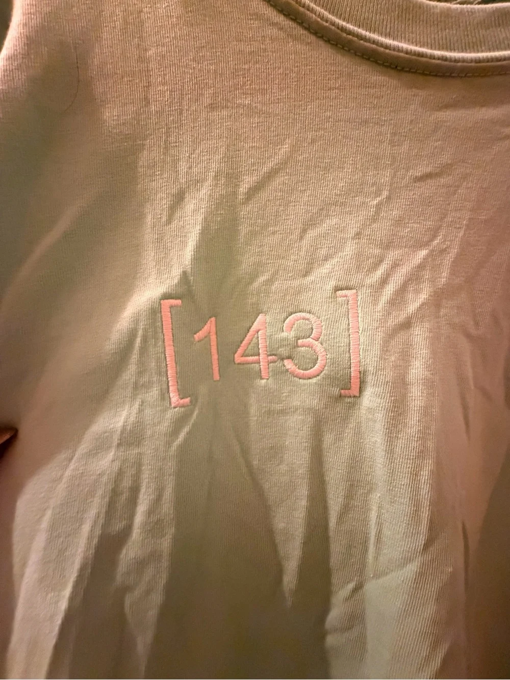 Punz Men's Crewneck T-Shirt in Mint Green